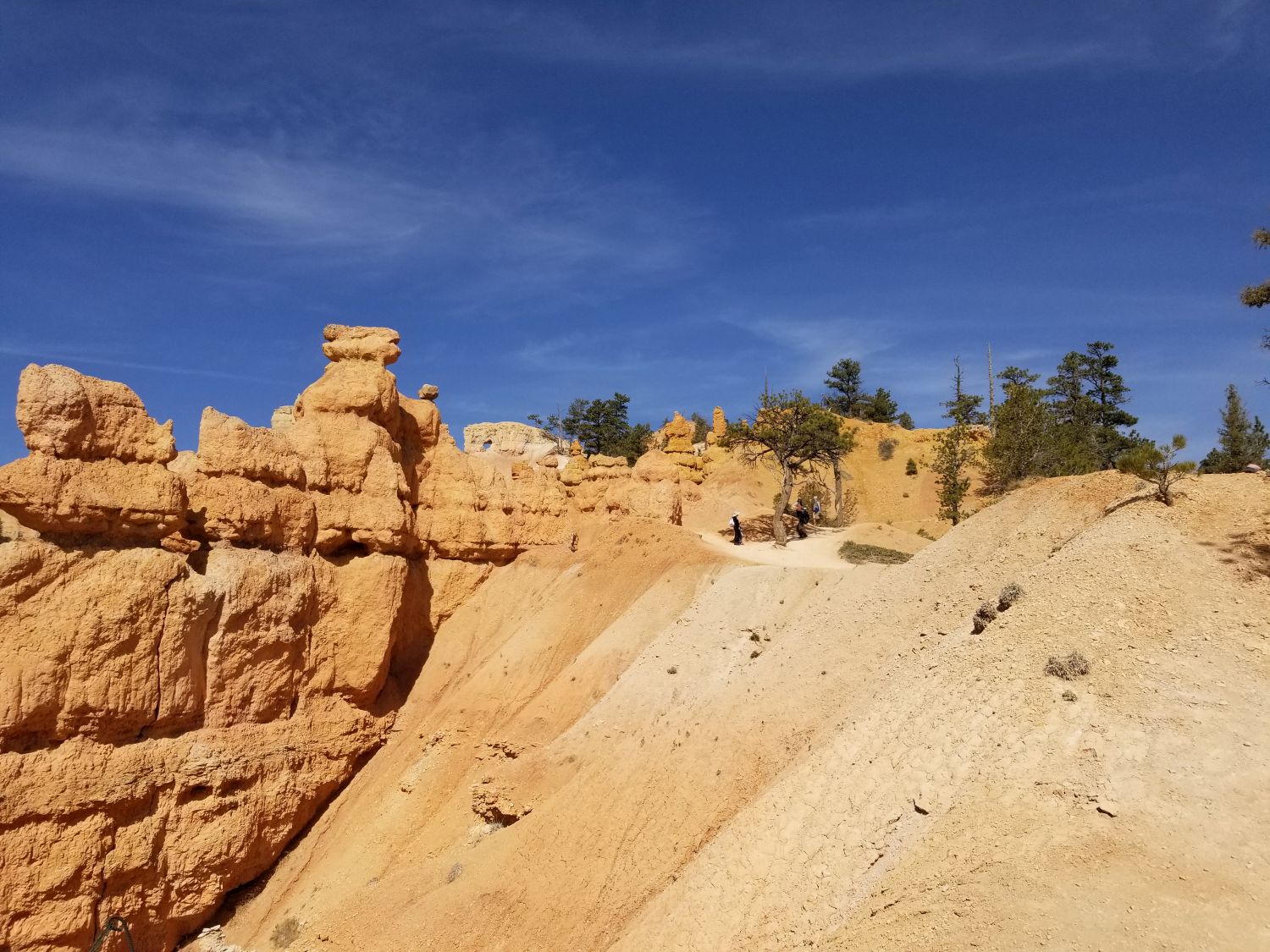 Queens/Navajo 